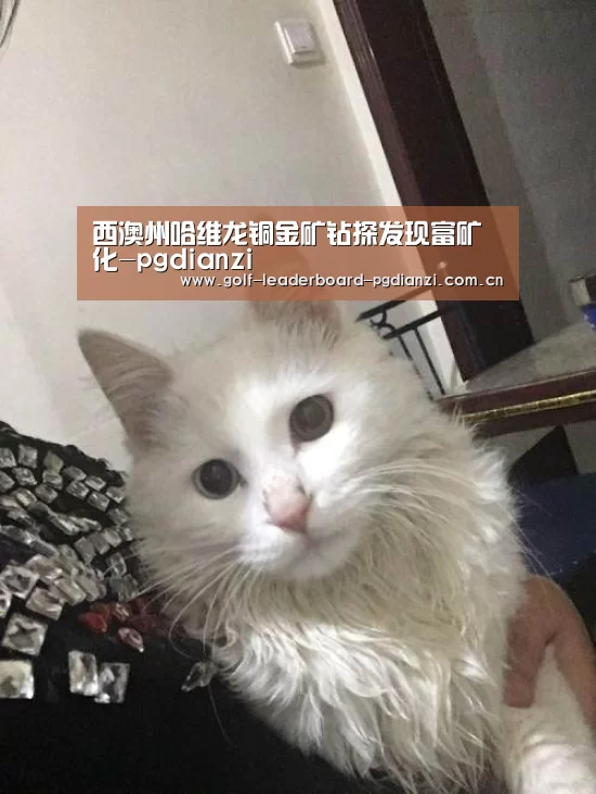 西澳州哈维龙铜金矿钻探发现富矿化-pgdianzi(图2) 西澳州哈维龙铜金矿钻探发现富矿化-pgdianzi(图2)