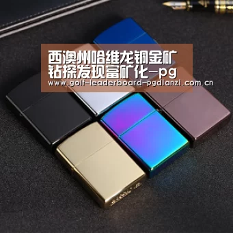 西澳州哈维龙铜金矿钻探发现富矿化-pgdianzi(图3) 西澳州哈维龙铜金矿钻探发现富矿化-pgdianzi(图3)