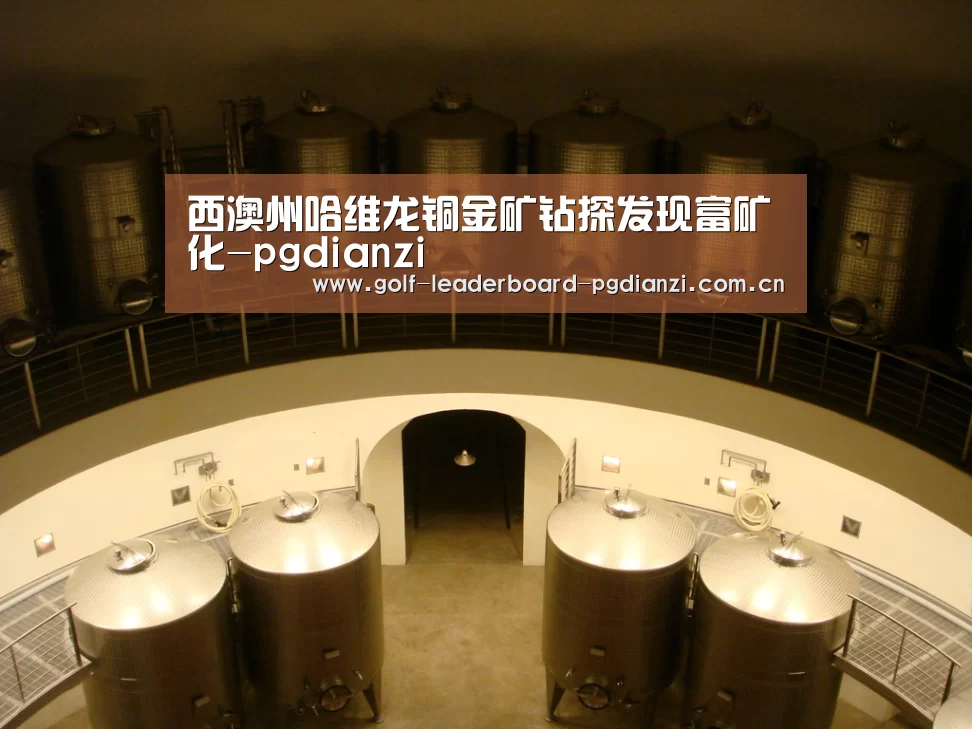 西澳州哈维龙铜金矿钻探发现富矿化-pgdianzi(图4) pg电子游戏官网