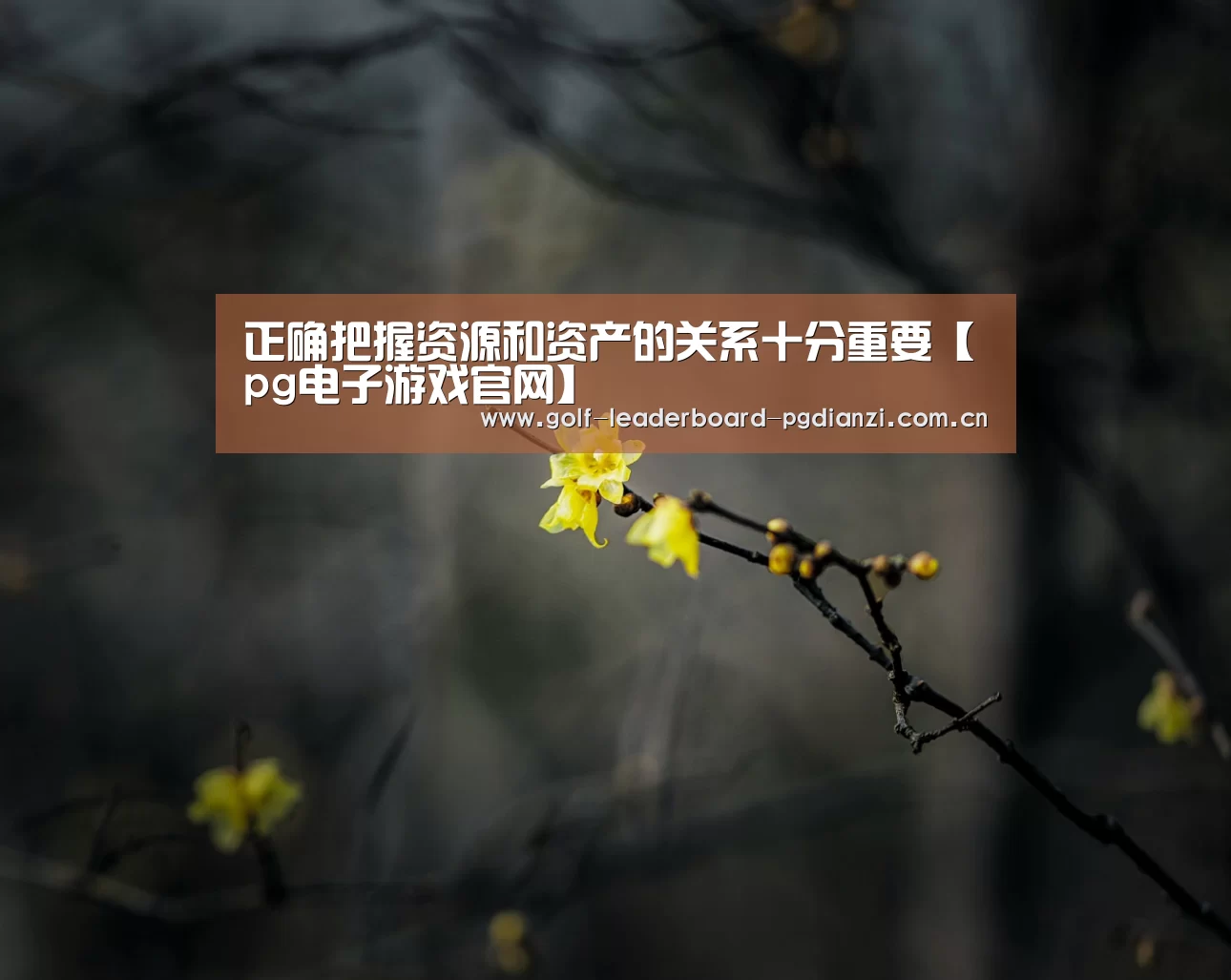 正确把握资源和资产的关系十分重要【pg电子游戏官网】(图1) pg电子游戏官网